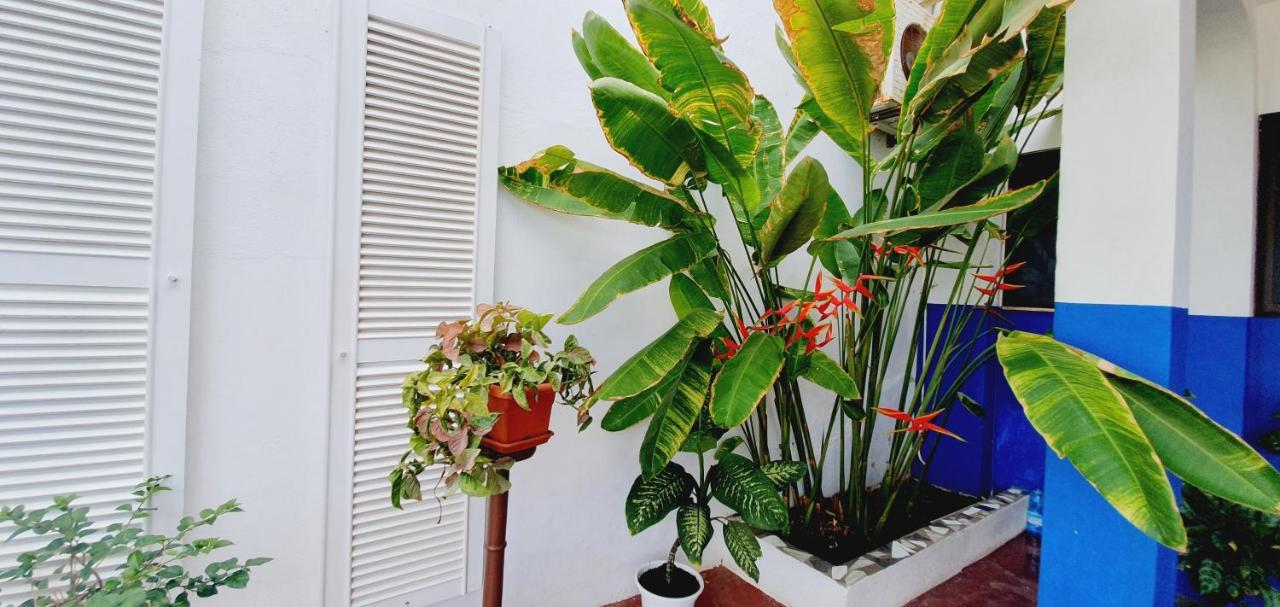 Kelly Guest House Praia Exterior foto